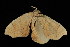  ( - 04HBL006048)  @13 [ ] CreativeCommons - Attribution (2010) Unspecified Centre for Biodiversity Genomics