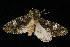  ( - 04HBL006084)  @13 [ ] CreativeCommons - Attribution (2010) Unspecified Centre for Biodiversity Genomics