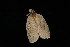  ( - 04HBL006370)  @12 [ ] CreativeCommons - Attribution (2010) Unspecified Centre for Biodiversity Genomics
