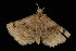  ( - 04HBL006607)  @12 [ ] CreativeCommons - Attribution (2010) Unspecified Centre for Biodiversity Genomics