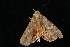  ( - 04HBL006857)  @12 [ ] CreativeCommons - Attribution (2010) Unspecified Centre for Biodiversity Genomics