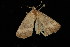  ( - 04HBL007298)  @12 [ ] CreativeCommons - Attribution (2010) Unspecified Centre for Biodiversity Genomics