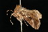  ( - 04HBL007363)  @13 [ ] CreativeCommons - Attribution (2010) Unspecified Centre for Biodiversity Genomics