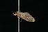  ( - 2005-ONT-283)  @12 [ ] CreativeCommons - Attribution (2010) Unspecified Centre for Biodiversity Genomics
