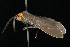  ( - 2005-ONT-352)  @13 [ ] CreativeCommons - Attribution (2010) Unspecified Centre for Biodiversity Genomics