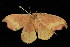  ( - 2005-ONT-374)  @13 [ ] CreativeCommons - Attribution (2010) Unspecified Centre for Biodiversity Genomics