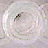  ( - UOG-debu01132856-93)  @11 [ ] Unspecified (default): All Rights Reserved  Unspecified Unspecified