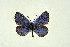  ( - DNAwthGla 012)  @14 [ ] Copyright (2016) Wolfgang Ten Hagen Wolfgang ten Hagen Research Collection