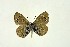  ( - DNAwthGla 012)  @14 [ ] Copyright (2016) Wolfgang Ten Hagen Wolfgang ten Hagen Research Collection