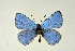  ( - DNAwthGla 014)  @13 [ ] Copyright (2016) Wolfgang Ten Hagen Wolfgang ten Hagen Research Collection