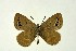  ( - DNAwthGla 014)  @13 [ ] Copyright (2016) Wolfgang Ten Hagen Wolfgang ten Hagen Research Collection