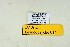  ( - DNAwthGla 014)  @12 [ ] Copyright (2016) Wolfgang Ten Hagen Wolfgang ten Hagen Research Collection