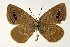  ( - DNAwthGla 015)  @13 [ ] Copyright (2016) Wolfgang Ten Hagen Wolfgang ten Hagen Research Collection