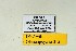  ( - DNAwthGla 015)  @12 [ ] Copyright (2016) Wolfgang Ten Hagen Wolfgang ten Hagen Research Collection