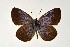  ( - DNAwthGla 017)  @13 [ ] Copyright (2016) Wolfgang Ten Hagen Wolfgang ten Hagen Research Collection