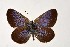  ( - DNAwthGla 018)  @13 [ ] Copyright (2016) Wolfgang Ten Hagen Wolfgang ten Hagen Research Collection