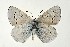  ( - DNAwthGla 020)  @14 [ ] Copyright (2016) Wolfgang Ten Hagen Wolfgang ten Hagen Research Collection
