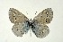  ( - DNAwthGla 021)  @13 [ ] Copyright (2016) Wolfgang Ten Hagen Wolfgang ten Hagen Research Collection