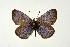  ( - DNAwthGla 022)  @13 [ ] Copyright (2016) Wolfgang Ten Hagen Wolfgang ten Hagen Research Collection
