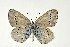  ( - DNAwthGla 023)  @13 [ ] Copyright (2016) Wolfgang Ten Hagen Wolfgang ten Hagen Research Collection