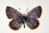  ( - DNAwthGla 025)  @13 [ ] Copyright (2016) Wolfgang Ten Hagen Wolfgang ten Hagen Research Collection