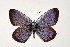  ( - DNAwthGla 026)  @13 [ ] Copyright (2016) Wolfgang Ten Hagen Wolfgang ten Hagen Research Collection