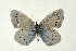  ( - DNAwthGla 026)  @13 [ ] Copyright (2016) Wolfgang Ten Hagen Wolfgang ten Hagen Research Collection