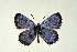  ( - DNAwthGla 042)  @14 [ ] Copyright (2016) Wolfgang Ten Hagen Wolfgang ten Hagen Research Collection