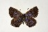  ( - DNAwthGla 043)  @13 [ ] Copyright (2016) Wolfgang Ten Hagen Wolfgang ten Hagen Research Collection