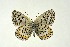  ( - DNAwthGla 043)  @14 [ ] Copyright (2016) Wolfgang Ten Hagen Wolfgang ten Hagen Research Collection