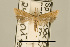  ( - USNM ENT 00933688)  @13 [ ] Unspecified (default): All Rights Reserved  Unspecified Unspecified