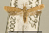  ( - USNM ENT 00933692)  @14 [ ] Unspecified (default): All Rights Reserved  Unspecified Unspecified