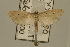 ( - USNM ENT 00933888)  @13 [ ] Unspecified (default): All Rights Reserved  Unspecified Unspecified