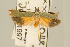 ( - USNM ENT 00933697)  @13 [ ] Unspecified (default): All Rights Reserved  Unspecified Unspecified