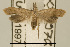  (Dichomeris sp. AAA9079 - USNM ENT 00933822)  @14 [ ] Unspecified (default): All Rights Reserved  Unspecified Unspecified