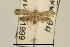  (DepressariidaeGEN sp. AAG9331 - USNM ENT 00933868)  @14 [ ] Unspecified (default): All Rights Reserved  Unspecified Unspecified
