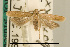  ( - USNM ENT 00933693)  @14 [ ] Unspecified (default): All Rights Reserved  Unspecified Unspecified
