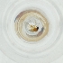  ( - MOZZ00000930A_E7)  @11 [ ] by (2004) Genome Research Ltd as Wellcome Sanger Institute Genome Research Limited operating as Wellcome Sanger Institute