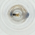  ( - MOZZ00000992A_F7)  @11 [ ] by (2004) Genome Research Ltd as Wellcome Sanger Institute Genome Research Limited operating as Wellcome Sanger Institute