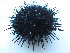  ( - RRYA-86)  @12 [ ] No Rights Reserved  NO NO