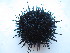  ( - RRYA-82)  @13 [ ] No Rights Reserved  NO NO