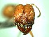  ( - HICD_B13_A)  @12 [ ] CreativeCommons - Attribution (2016) David Donoso Universidad de Cuenca
