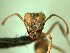  ( - HICD_B19_B)  @12 [ ] CreativeCommons - Attribution (2016) David Donoso Universidad de Cuenca