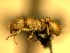  ( - HICD_B3_A)  @12 [ ] CreativeCommons - Attribution (2016) David Donoso Universidad de Cuenca