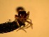  ( - HICD_C19_B)  @12 [ ] CreativeCommons - Attribution (2016) David Donoso Universidad de Cuenca