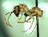  ( - HICD_E12_A)  @13 [ ] CreativeCommons - Attribution (2016) David Donoso Universidad de Cuenca