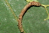  ( - YAWCATCR0254)  @12 [ ] CreativeCommons - Attribution Non-Commercial Share-Alike (2015) C. Redmond Czech Academy of Sciences