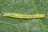  ( - YAWCATCR0337)  @12 [ ] CreativeCommons - Attribution Non-Commercial Share-Alike (2015) C. Redmond Czech Academy of Sciences