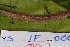  ( - YAWCATCR0678)  @11 [ ] CreativeCommons - Attribution Non-Commercial Share-Alike (2015) C. Redmond Czech Academy of Sciences