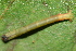  ( - YAWCATCR0680)  @12 [ ] CreativeCommons - Attribution Non-Commercial Share-Alike (2015) C. Redmond Czech Academy of Sciences